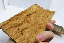 １個　コルク樹皮　10×20ｃｍ（厚約8-10ｍｍ）洋蘭　原種　チランジア　エアープランツ　熱帯植物　ラン　コルク　樹皮　_画像2