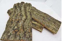 １個　コルク樹皮　10×20ｃｍ（厚約8-10ｍｍ）洋蘭　原種　チランジア　エアープランツ　熱帯植物　ラン　コルク　樹皮　_画像1