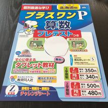 セ12 非売品 プラスワンP算数 5年生 学習 問題集 ドリル 小学 テキスト テスト用紙 前期 文章問題 家庭学習 北海道 教育同人社 計算 AJ1505_画像1