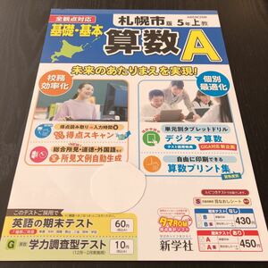 セ25 非売品 基礎基本算数A 5年生 学習 問題集 ドリル 小学 テキスト テスト用紙 前期 文章問題 家庭学習 2学期制 新学社 AB53K25M 計算