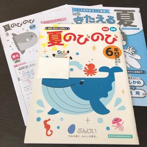 タ42 夏のびのび 6年生 学習 問題集 ドリル 小学 テキスト 文章問題 家庭学習 国語 理科 算数 社会 英語 勉強 漢字 文溪堂 解答 計算