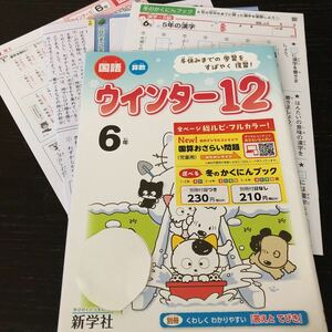 チ7 ウインター12 6年生 学習 問題集 ドリル 小学 テキスト テスト 文章問題 家庭学習 国語 理科 算数 社会 英語 勉強 計算 漢字 新学社