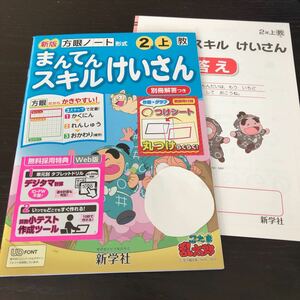 チ45 まんてんスキルけいさん 2年生 学習 問題集 ドリル 小学 テキスト テスト 文章問題 家庭学習 算数 勉強 計算 漢字 新学社 教育出版