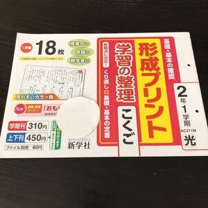 テ7 形成プリント 国語 2年 解答 答え 教師用 学習 問題集 ドリル 小学 テキスト テスト 文章問題 家庭学習 国語 新学社 AC211M 勉強 漢字