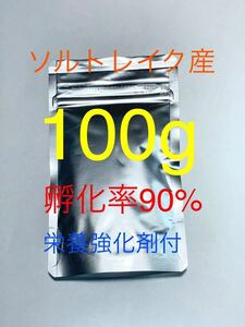 【コスパ抜群】送料無料　ソルトレイク産　高品質ブラインシュリンプ　100g 栄養強化剤サンプル付き　
