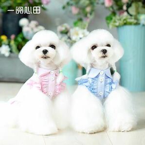 ワンピースライトピンク lx 犬服 ふりふりオックスフォードワンピース