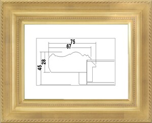 額縁　油絵/油彩額縁 樹脂製フレーム アクリル付 7746 サイズ F6号 ゴールド