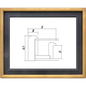 額縁　油絵/油彩額縁 木製フレーム アクリル付 7747 サイズ F10号 ゴールド