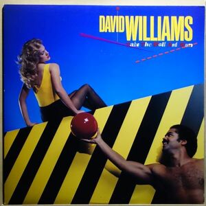 Soul/Funk/AOR◆USオリジ◆盤面良好◆David Williams - Take The Ball And Run◆マイナーレーベル◆Chanson◆超音波洗浄