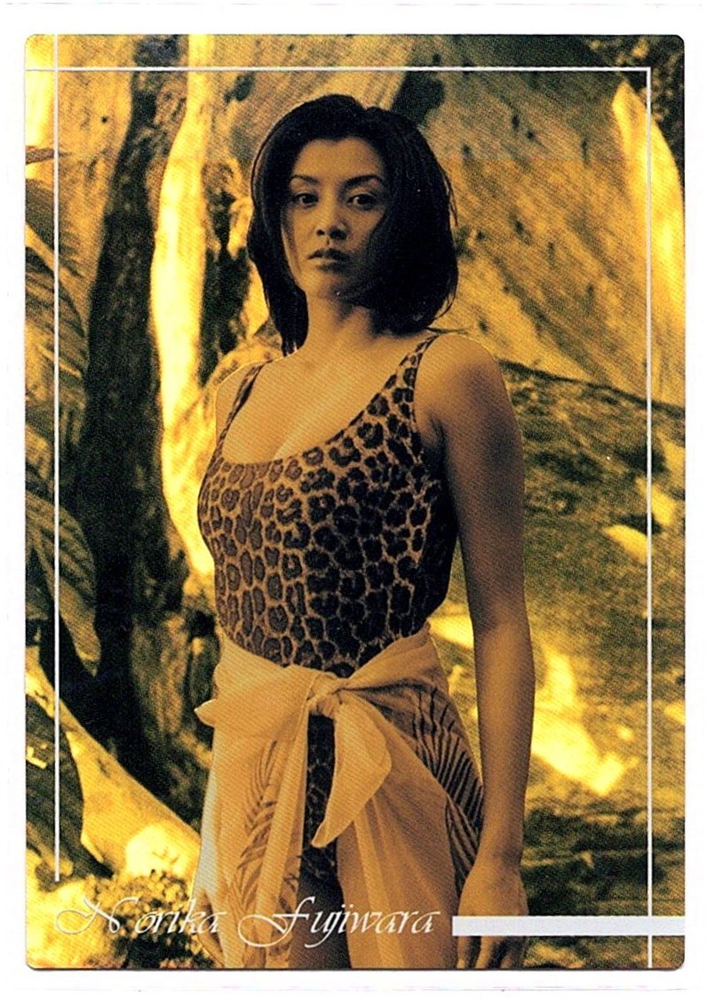 【匿名配送】藤原紀香　トレーディングコレクション 送料無料 同梱不可 藤原紀香トレーディングカード ノーマル18枚