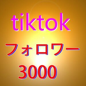 Tiktok ティックトック フォロワー増加 3000人 followers 減少無し IDのみOK