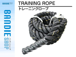 トレーニングロープ ジムロープ ロープ 縄 スポーツ ダイエット スイングロープ 体幹 9メートル 50mm 振るだけトレーニング エクササイズ