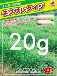 ネグサレタイジ　20g 緑肥　えん麦　アウェナ　ストリゴサ　種　土壌改良　マルチング　タキイ