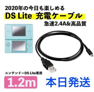 新品DSライト 充電器 USB ケーブル DSL DS Lite NDS