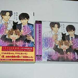 ヤフオク スウィートホーム Cd の落札相場 落札価格 ヤフオク スウィートホーム Cd の落札相場 落札価格
