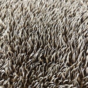 ハリネズミ専用生地 シュタイフ社