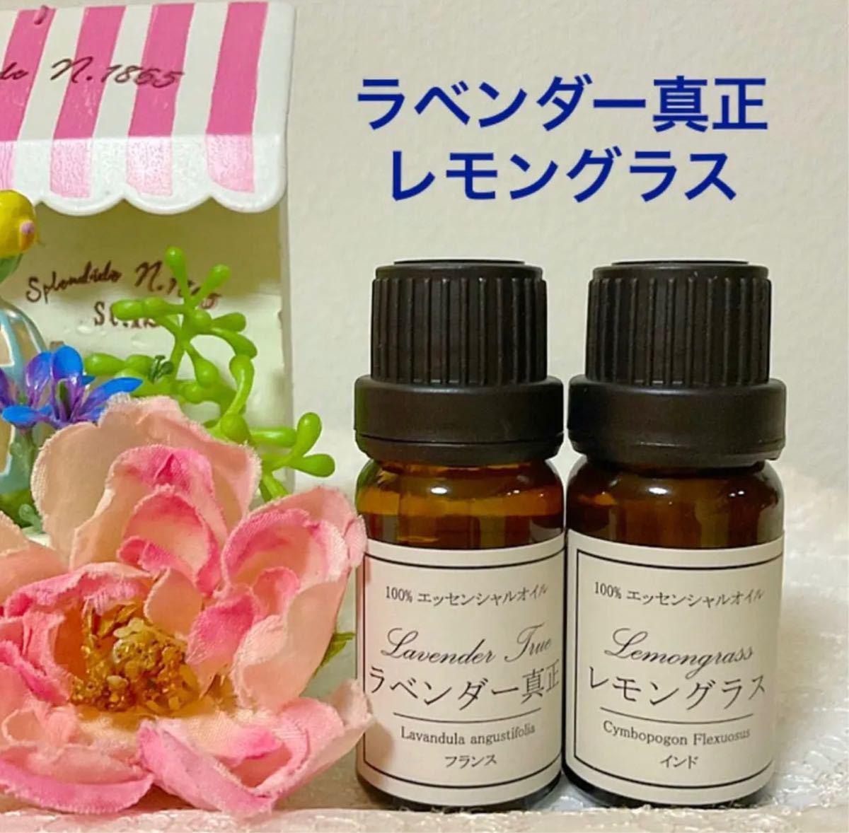 10ml販売ページ】フロリダより入荷幻の竜涎香アンバーグリスオーダー ...