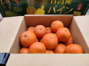 和歌山県産セミノールオレンジ2.5kg。サイズミックス。美味しです。