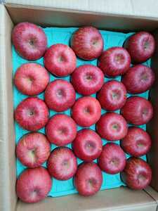 青森県産サンふじ特選４６個、少しキズ汚れあり。高糖度りんごです。硬く甘味強く美味しです。