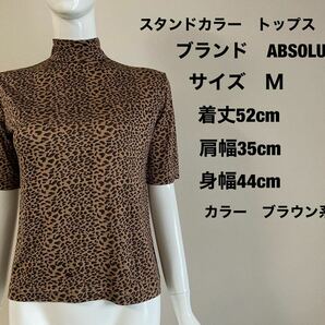 レディース　スタンドカラー　トップス　カットソー　Ｔシャツ 半袖　ブランドABSOLU サイズM 色茶系統　　　イタリアで購入品　送料無料