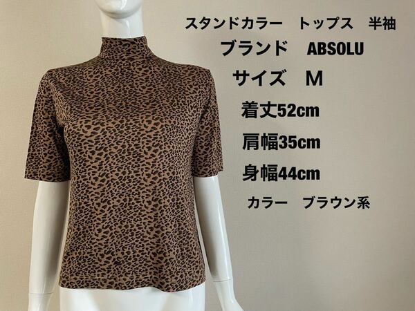 レディース　スタンドカラー　トップス　カットソー　Ｔシャツ 半袖　ブランドABSOLU サイズM 色茶系統　　　イタリアで購入品　送料無料