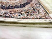 100 万ノット/豪華な色柄ペルシャ柄絨毯 玄関マット カーペット ラグ 高密度 ウィルトン 織り ペルシャ絨毯の本場 イラン産 ＋滑り止め g02_画像6