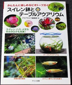 スイレン鉢とテーブルアクアリウム｜ビオトープガイド 睡蓮鉢 水生植物 水草 植え方 育て方 作り方 メンテナンス ハス#r