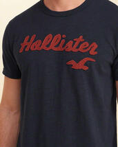 * ２点のみ * HOLLISTER ホリスター Tシャツ Applique Logo Graphic Tee L / Navy *_画像2