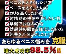 ビッグガン 1袋 オマケ付き　20日で効果あり　昇龍王 ヴィトックス　GNT-α　サイズ　　持続力　回復力　壇蜜 グラビア 写真集 オモチャ _画像4