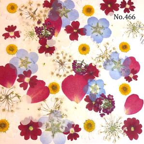 ☆new☆可愛い押し花セット☆使いやすい少量の押し花セット☆