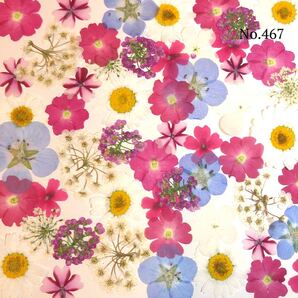 ☆new☆可愛い押し花セット☆使いやすい少量の押し花セット☆