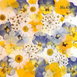 ☆new☆可愛い押し花セット☆使いやすい少量の押し花セット☆