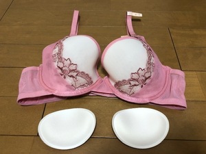  new goods. Triumph[to Lynn p]. bra *D75*4389 jpy -2180 jpy prompt decision * pink color,bla, postage 140 jpy ~