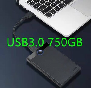 WD製750G大容量/外付けハードディスク/外付けHDD/TV録画&PS4&PC