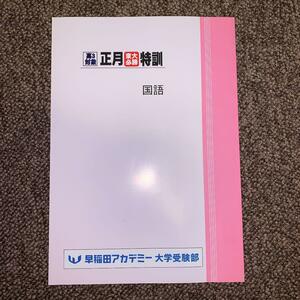 早稲田アカデミー大学受験部　東大必勝講座　正月特訓　国語