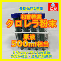 和香特選粉末生クロレラ500ml作成用 ミジンコめだか金魚らんちゅうの餌 針子稚魚の青水作ワムシゾウリムシ生餌46_画像1
