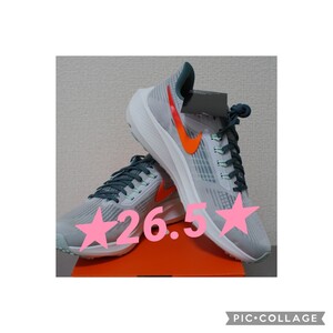 NIKE ナイキ ズームペガサス
