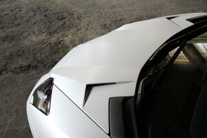 NOVITEC ランボルギーニ アヴェンタドール カーボン フロントボンネット エアロ フロント バンパー Lamborghini パーツ LP700