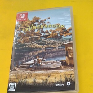 ニンテンドースイッチ ソフト TRUBERBROOK トルバーブルック Nintendo Switch パッケージ版