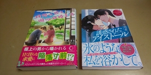 「誘惑されたアイスドール」「理想の彼と疑似結婚生活」良質単行本　2冊セット　定価計2640円