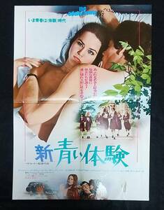 ★希少★ 映画【 新 青い体験 】(1976年) B3サイズ ポスターチラシ / ペドロ・マソ / プレス向け非売品　※送料無料※