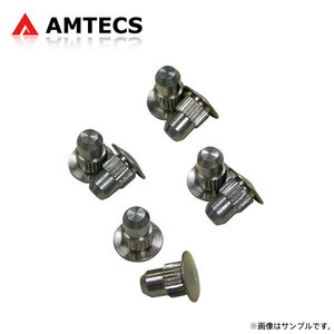 AMTECS アムテックス 交換用アライメントピン 8個入 シボレー サバーバン 2000～2014 2500