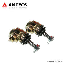 AMTECS アムテックス SPC キャンバー調整用ボールジョイント1.5° オースチン・ローバー ローバー 600 1993～1999_画像1