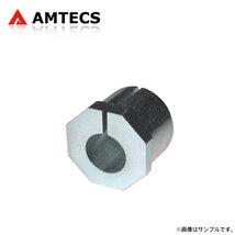 AMTECS アムテックス キャスター/キャンバー調整スリーブ 0° フォード_画像1