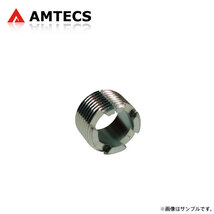 AMTECS アムテックス キャスター/キャンバー調整スリーブ 0.50°(0°30') シボレー タホ 1969～1991_画像1