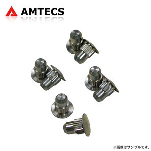 AMTECSam Tec s for exchange alignment pin 8 piece insertion Isuzu i-350 2006~2006 4x4