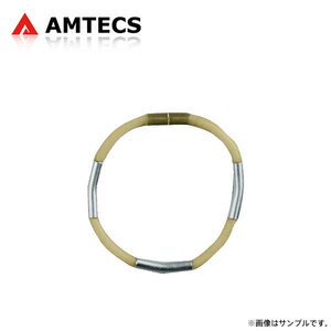 AMTECS アムテックス ベンチレーテッドディスクブレーキ用サイレンサー 203mm径 (ローター切削用振動止め)