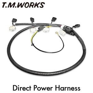 T.M.WORKS ダイレクト・パワーハーネスキット S2000 AP2 F22C 2005/11～