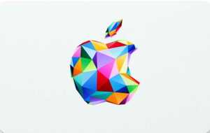 Apple Gift アップル ギフトカード App Store & iTunes 300円