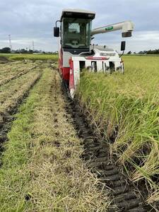令和３年産埼玉県産 コシヒカリこだわり玄米30㎏　有機肥料使用